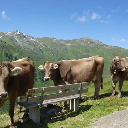 Zillertal-Urlaubat0019 * Mayrhofen