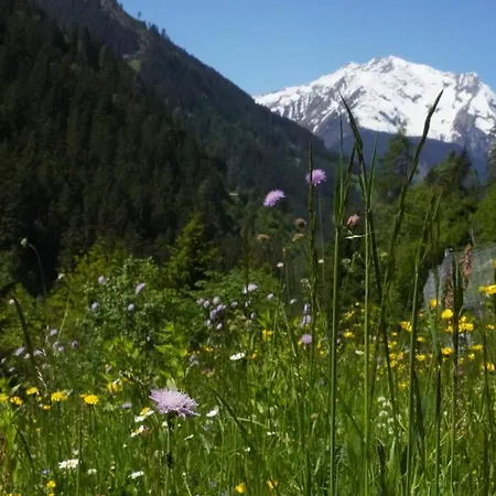 Zillertal-Urlaubat0019 アパート *